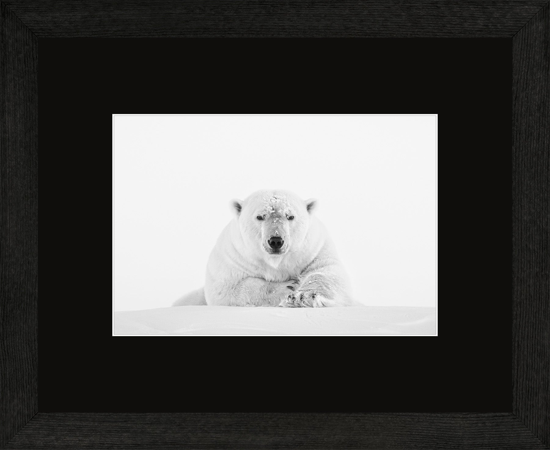 Canadian Wood Frame Regular