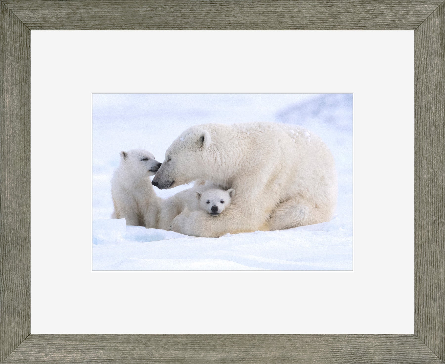 Canadian Wood Frame Regular