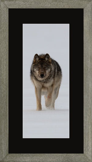 Canadian Wood Frame Panoramic