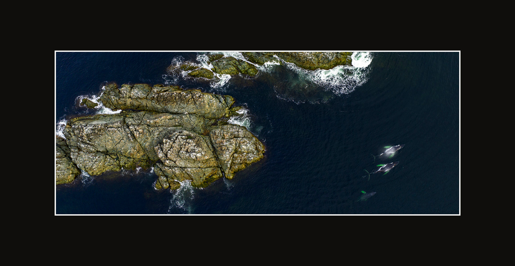 Matted Panoramic