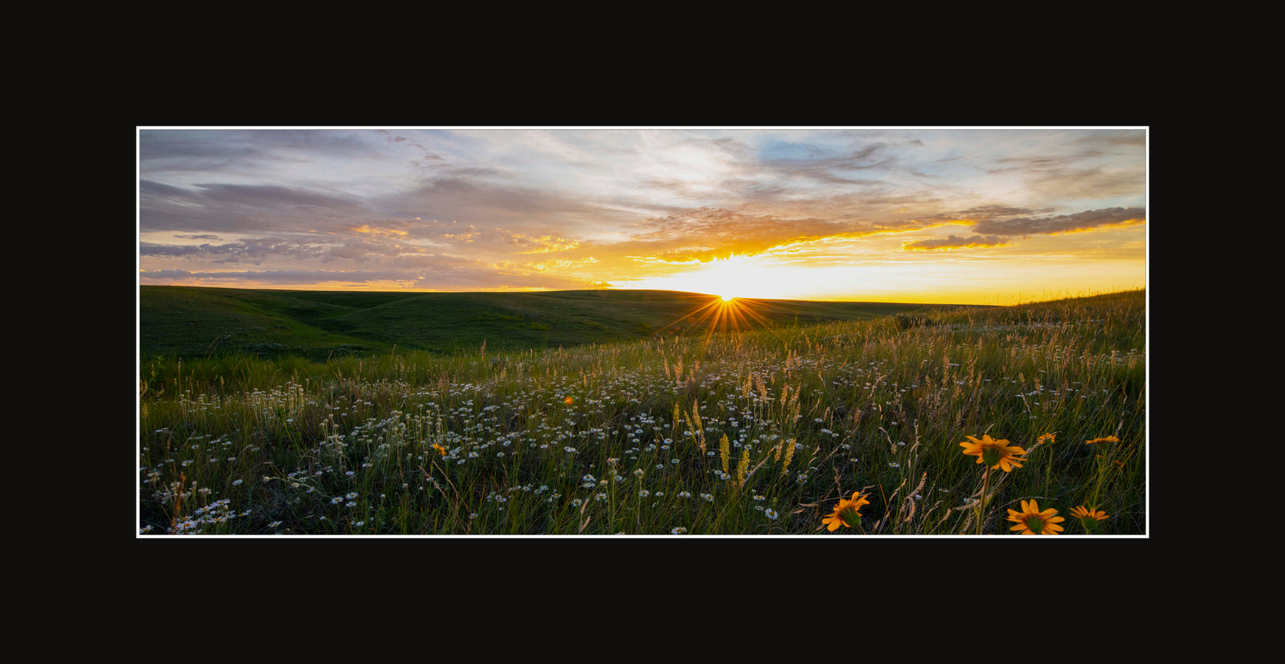 Matted Panoramic
