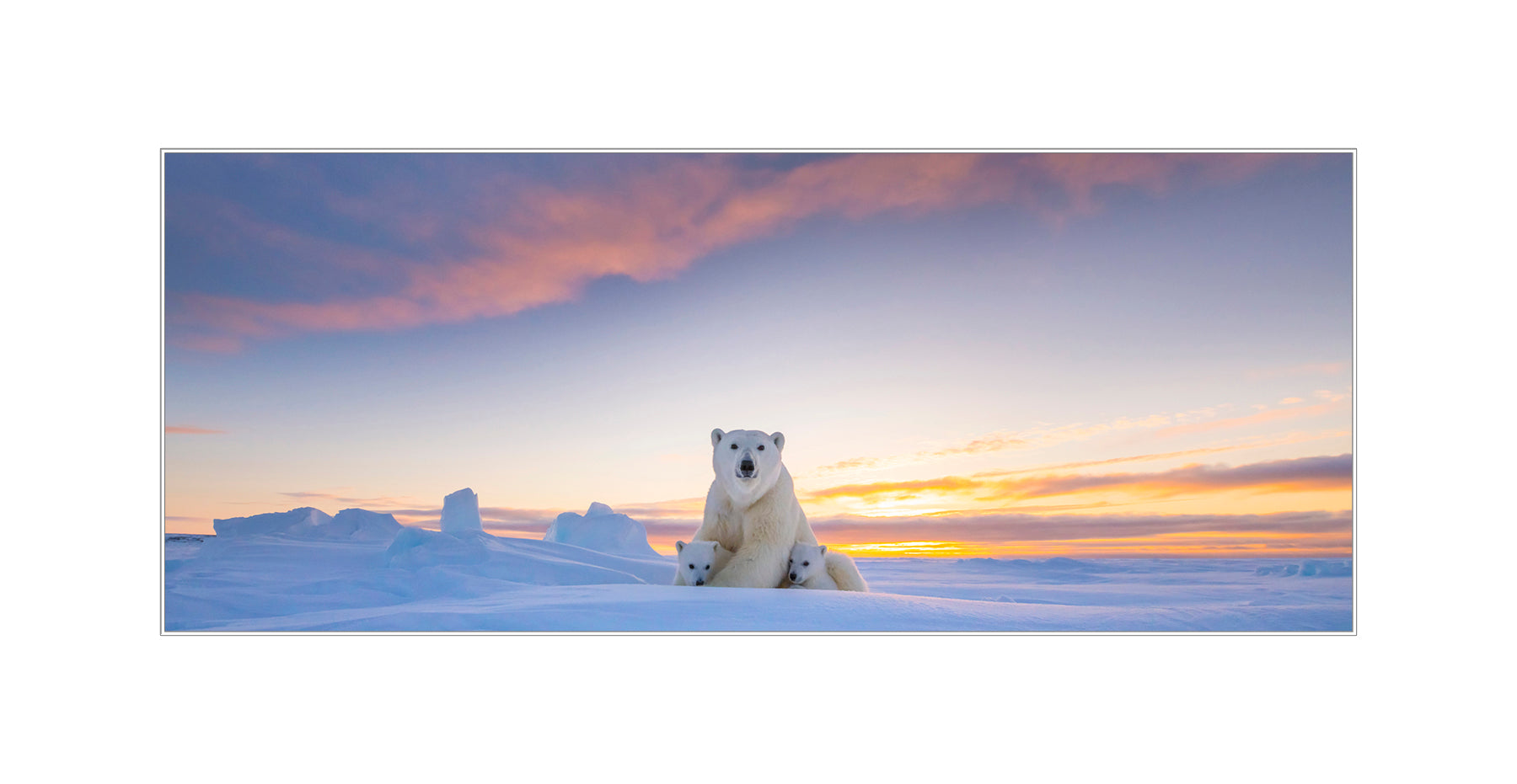 Panoramic White