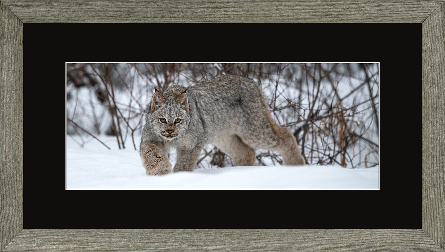 Canadian Wood Frame Panoramic