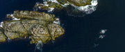 Acrylic/Printed Photo Panoramic