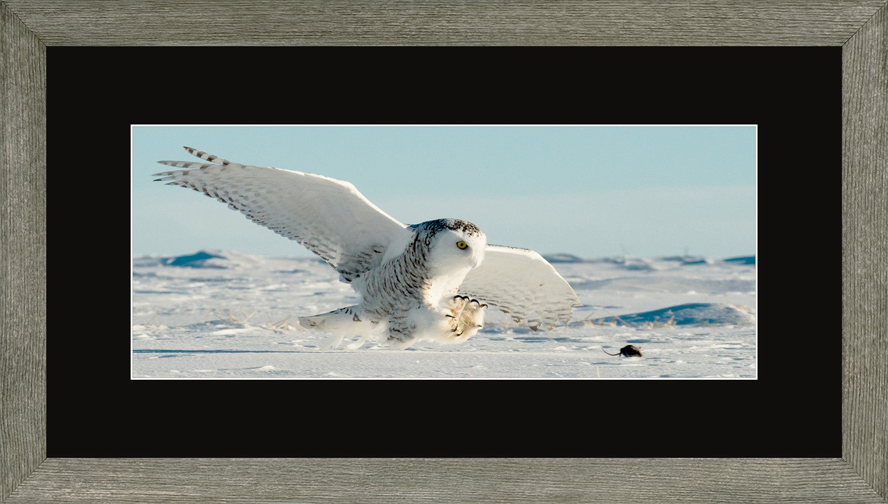 Canadian Wood Frame Panoramic