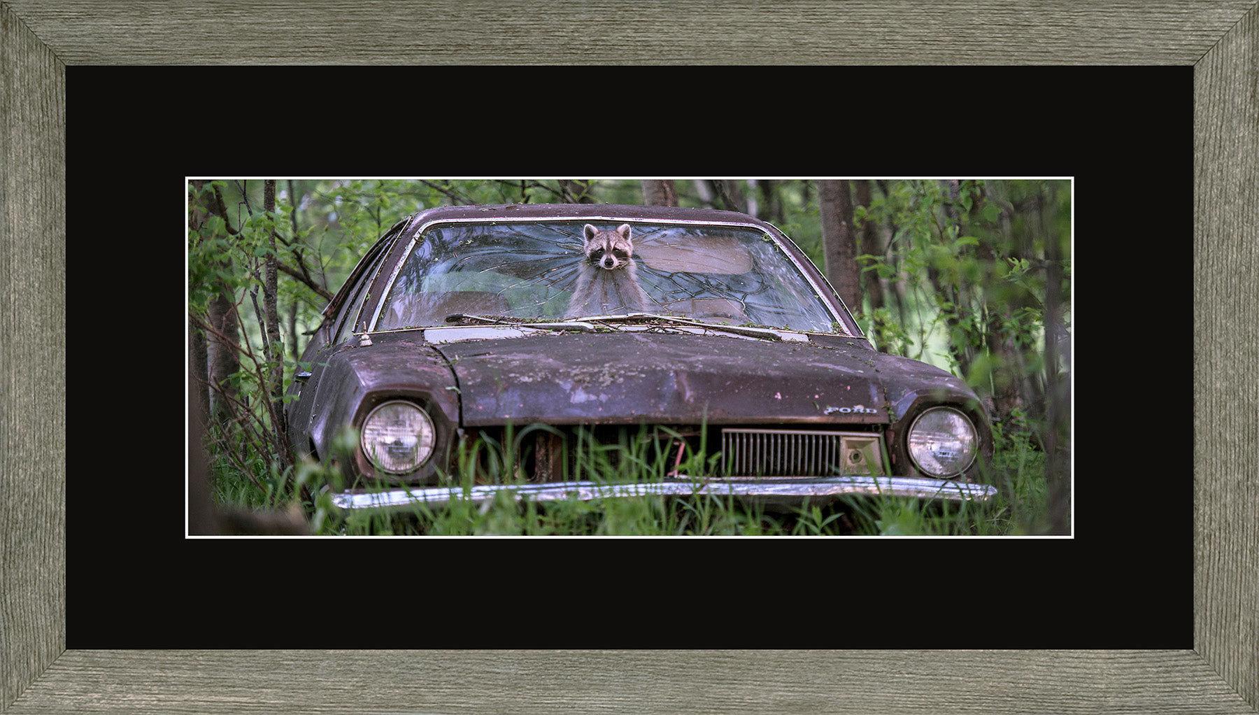Canadian Wood Frame Panoramic