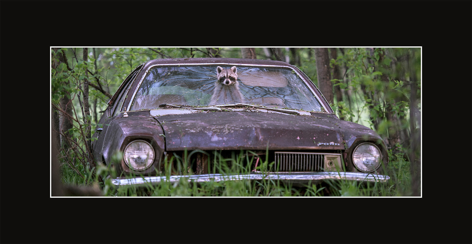 Matted Panoramic