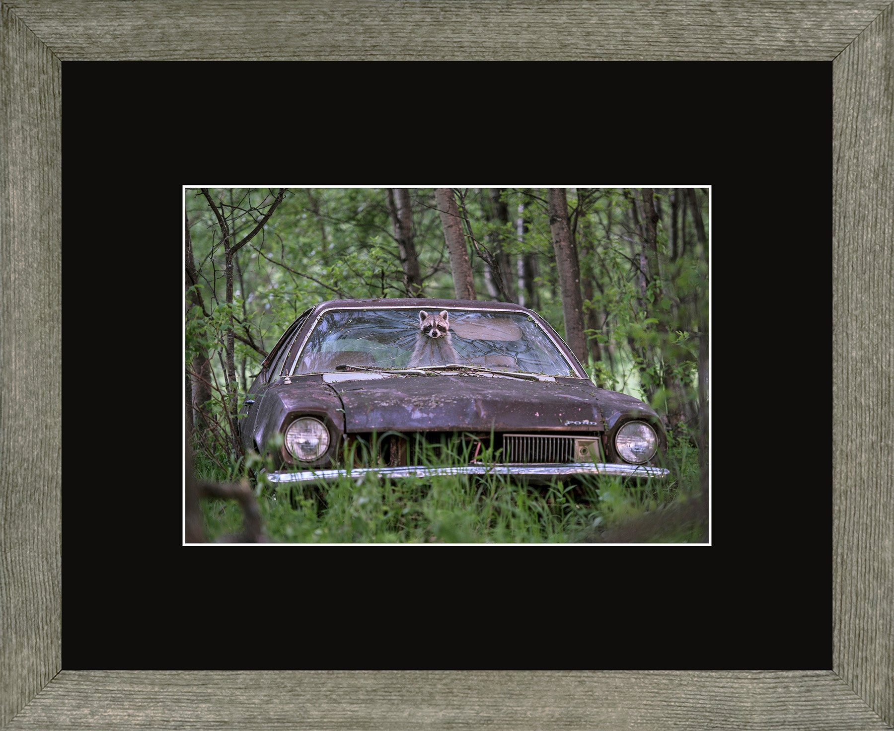 Canadian Wood Frame Regular