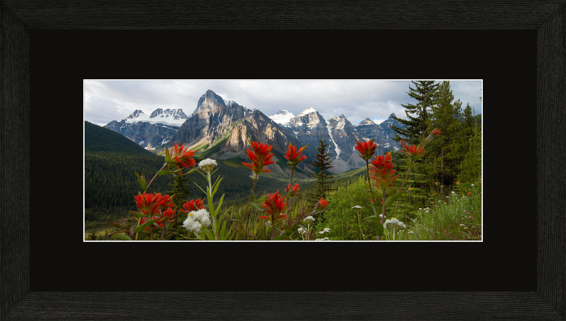 Canadian Wood Frame Panoramic