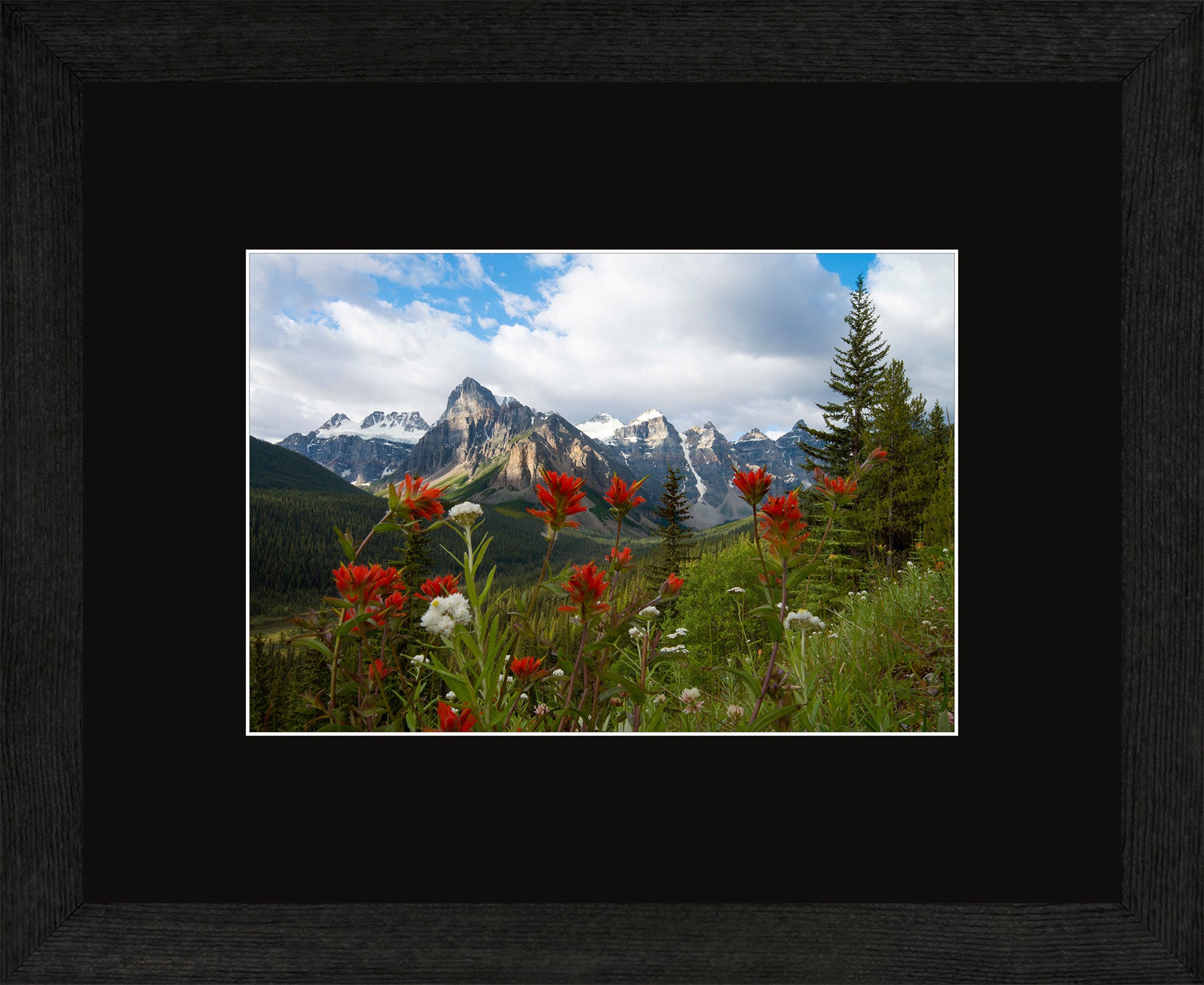 Canadian Wood Frame Regular
