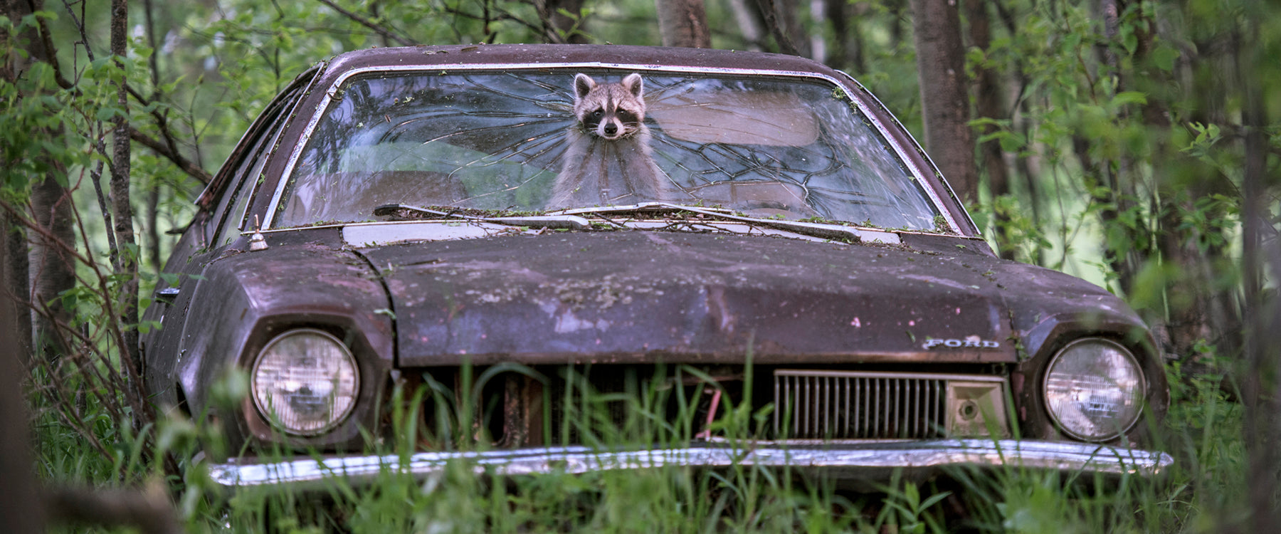 Panoramic Acrylic/Printed Photo Only