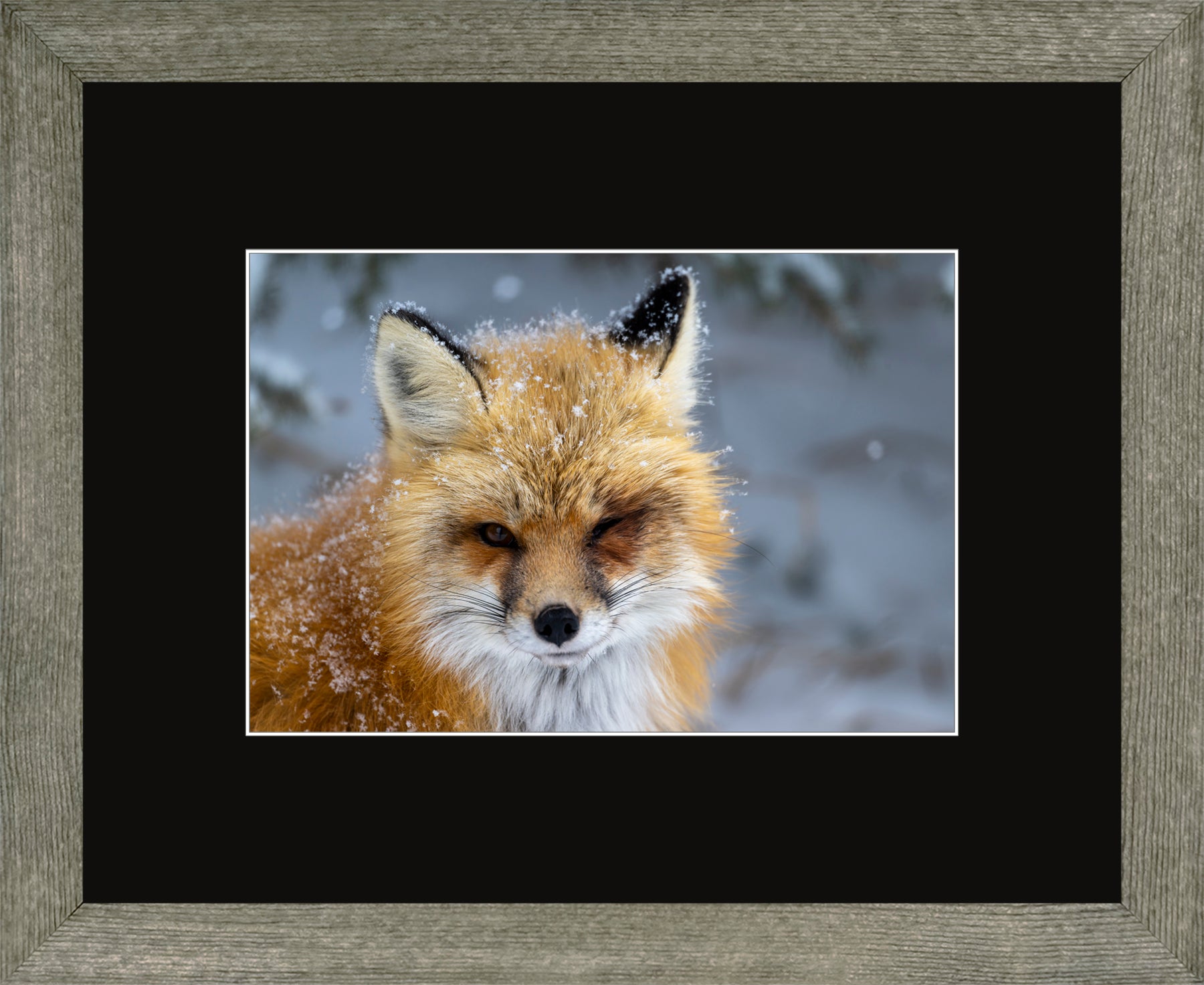 Canadian Wood Frame Regular