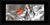 Contemporary Frame Panoramic