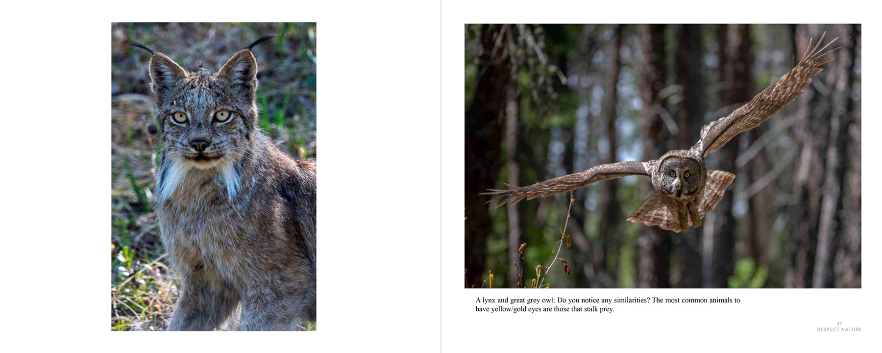 Wild Waskesiu & Beyond