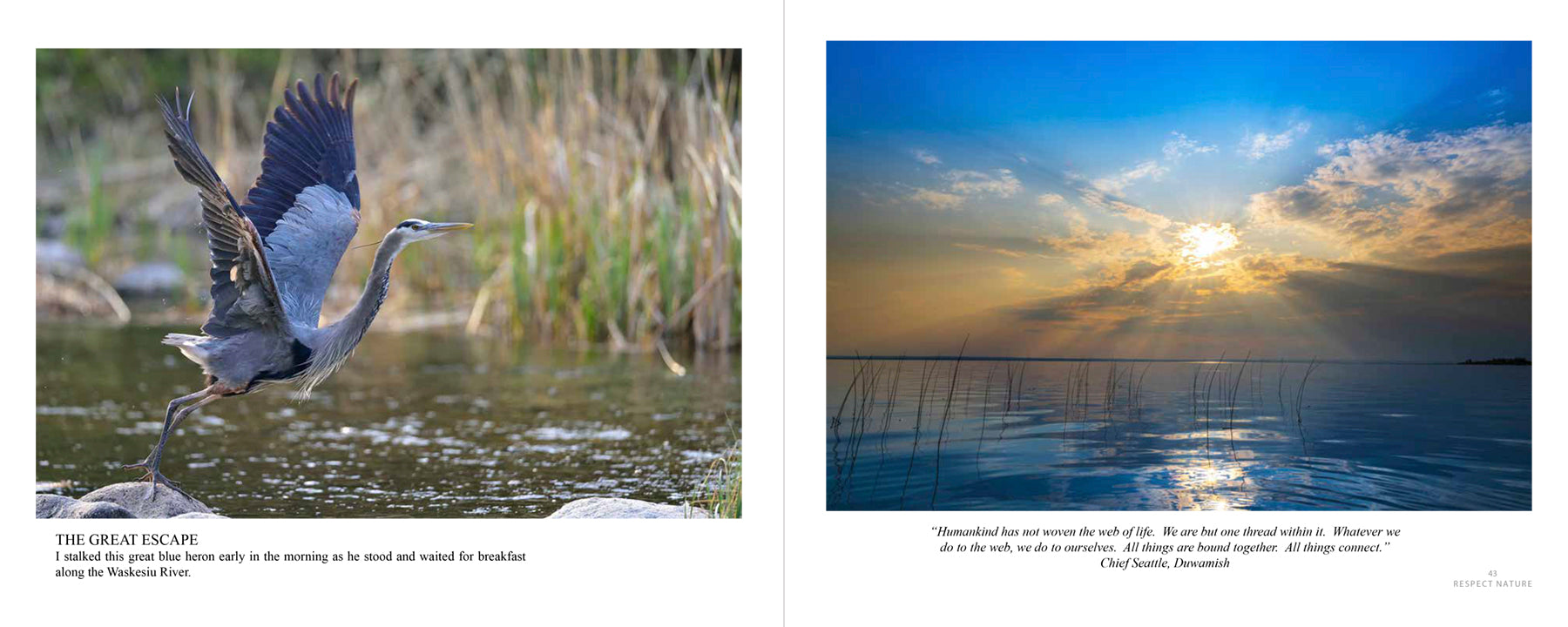 Wild Waskesiu & Beyond