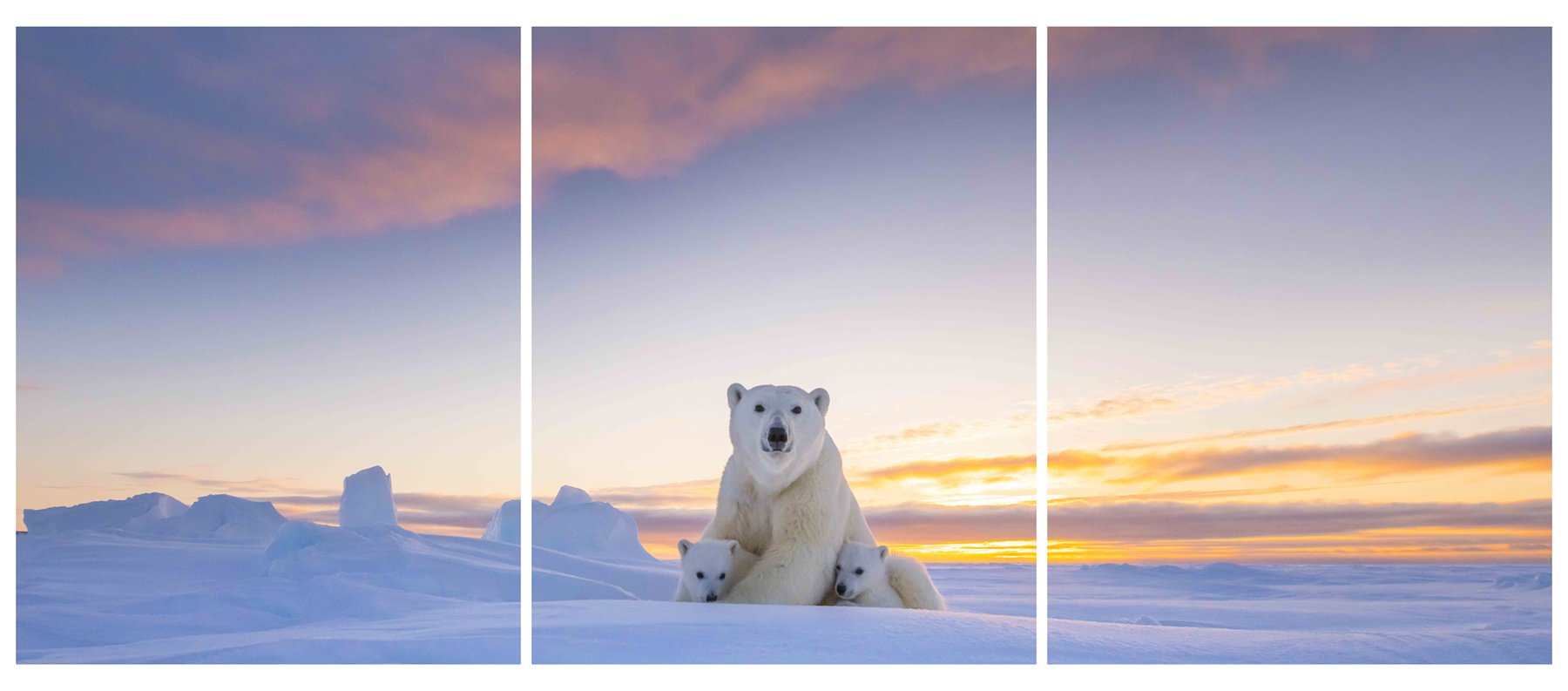 Triptych