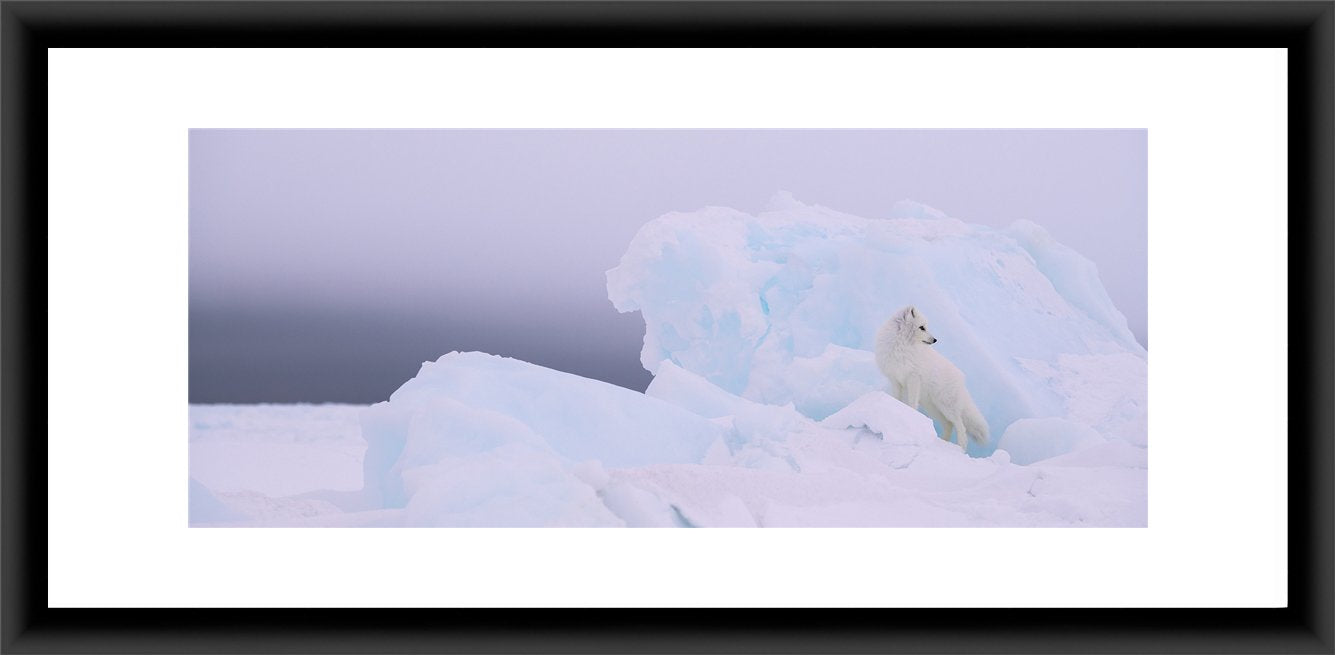 Contemporary Frame Panoramic