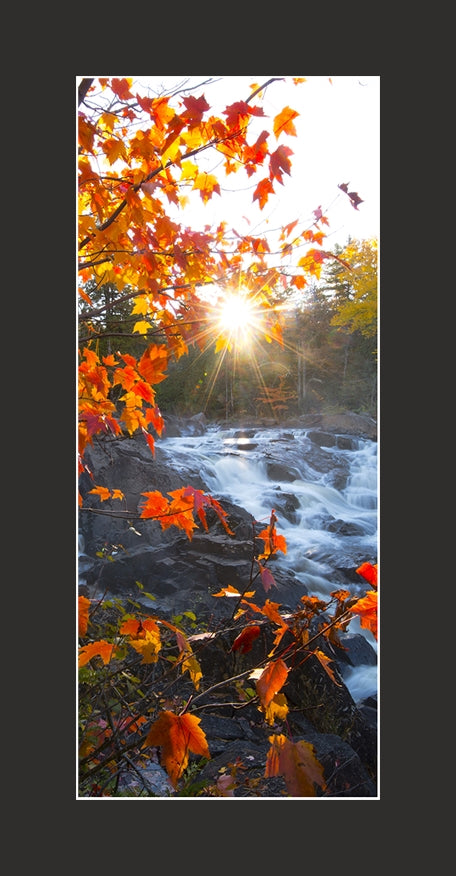 Matted Panoramic