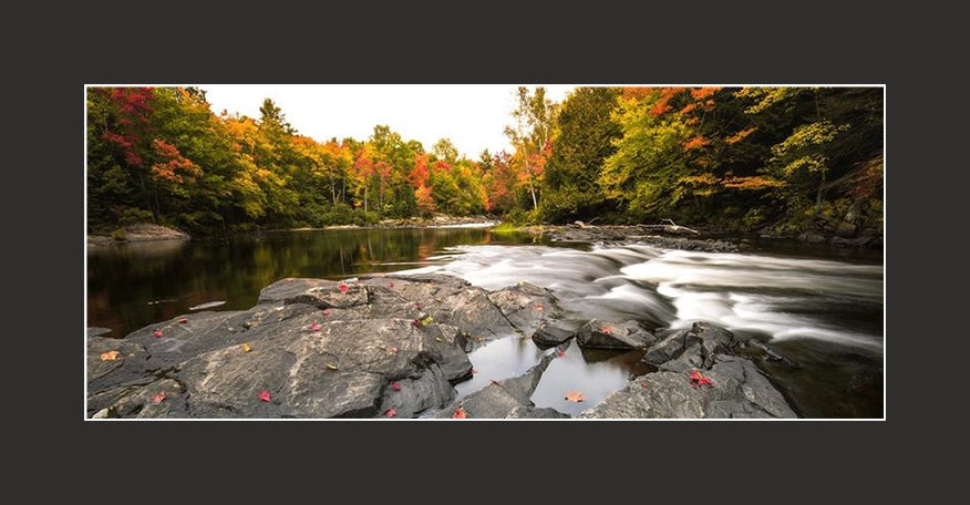 Matted Panoramic