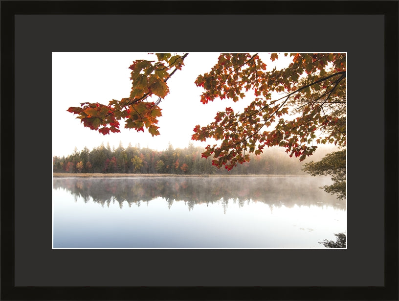 Contemporary Frame Regular