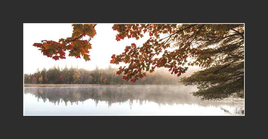 Matted Panoramic