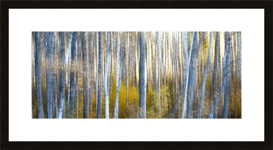 Contemporary Frame Panoramic
