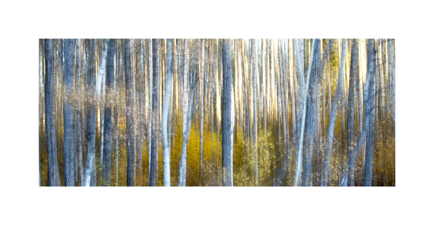 Matted Panoramic