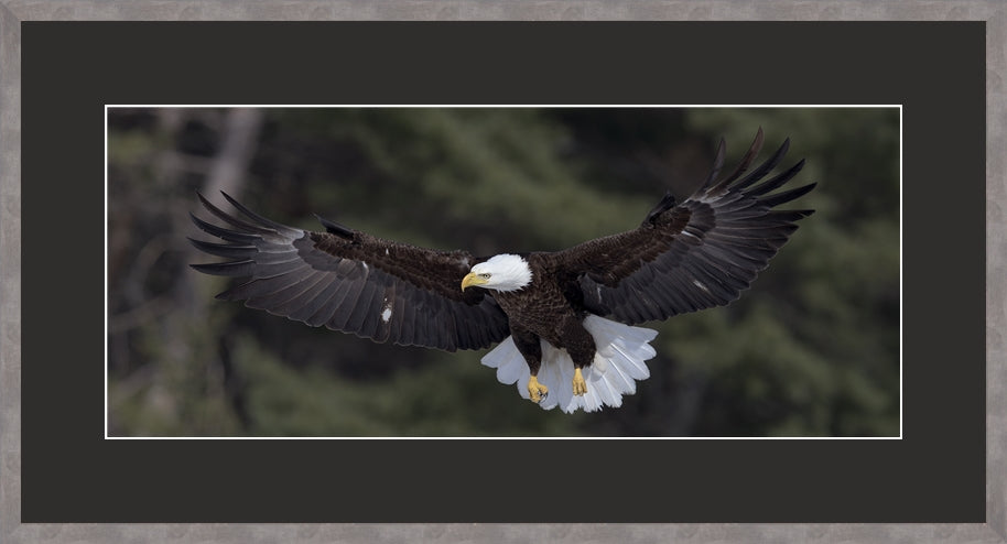 Panoramic Canadian Wood Frame (Recommended)