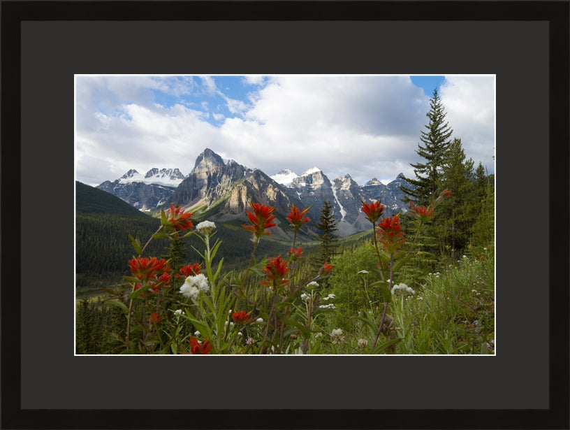 Contemporary Frame Regular