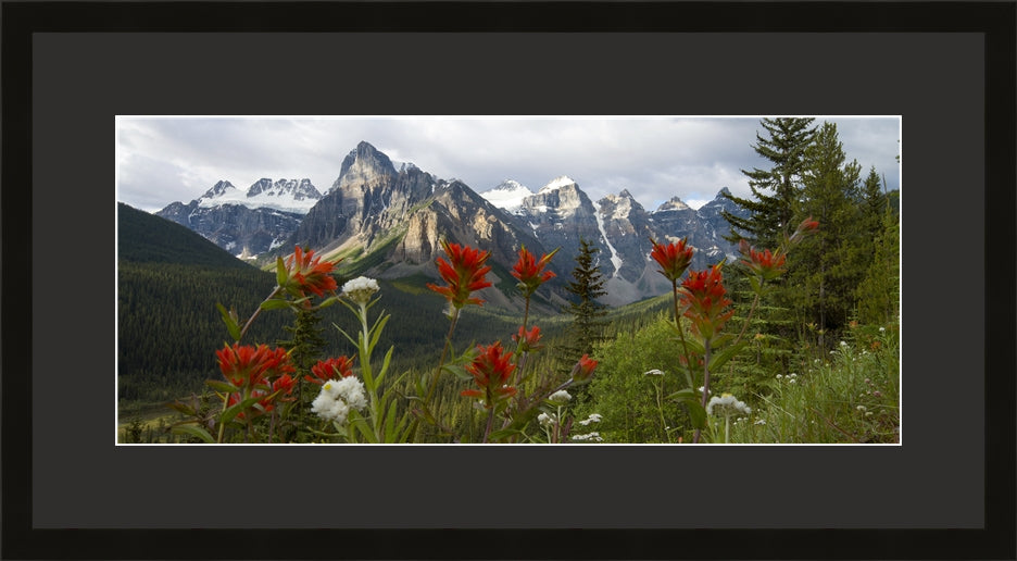 Contemporary Frame Panoramic