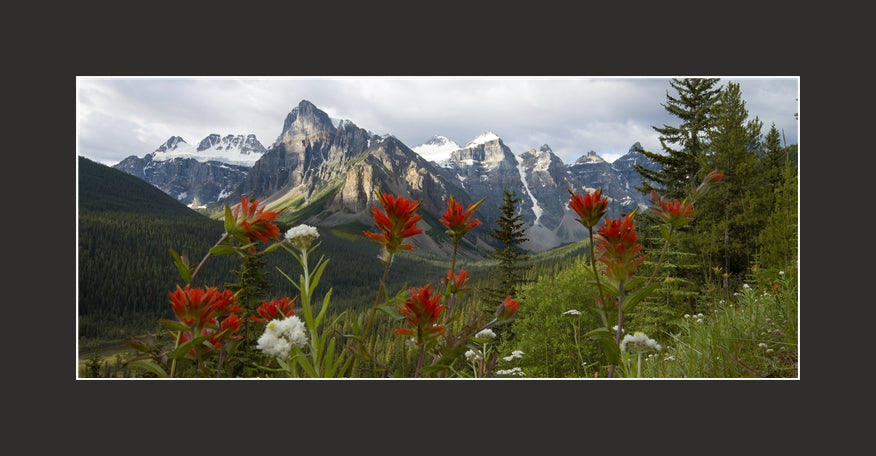Matted Panoramic