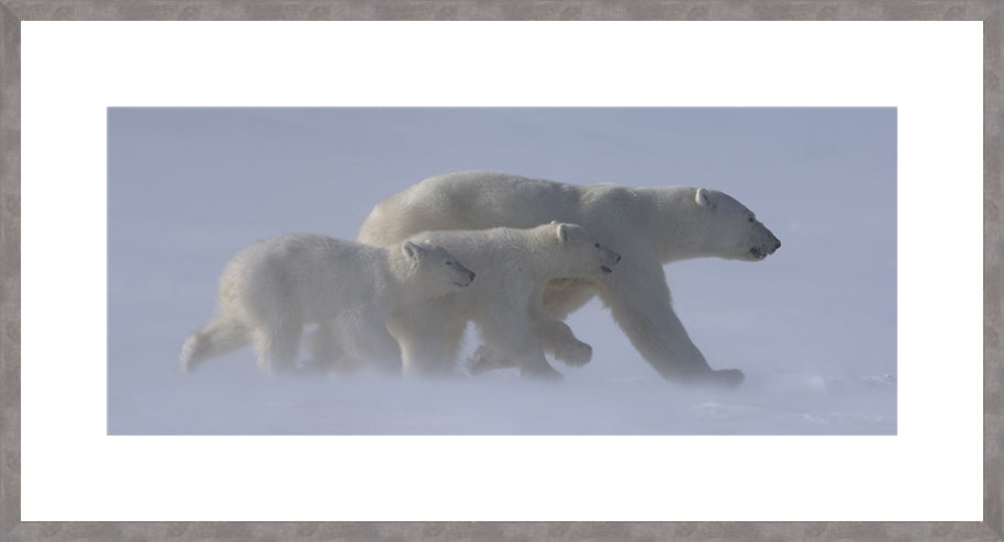 Panoramic Canadian Wood Frame (Recommended)