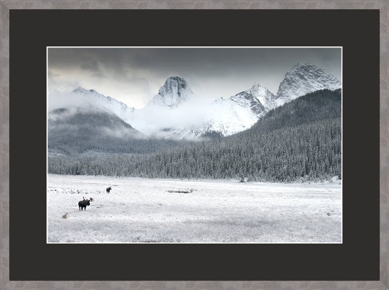 Canadian Wood Frame (Recommended)