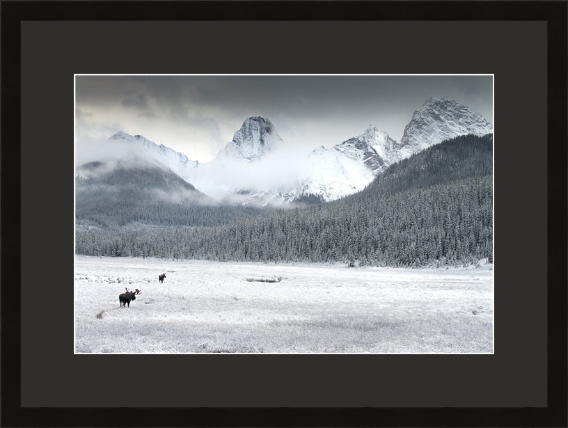 Contemporary Frame Regular