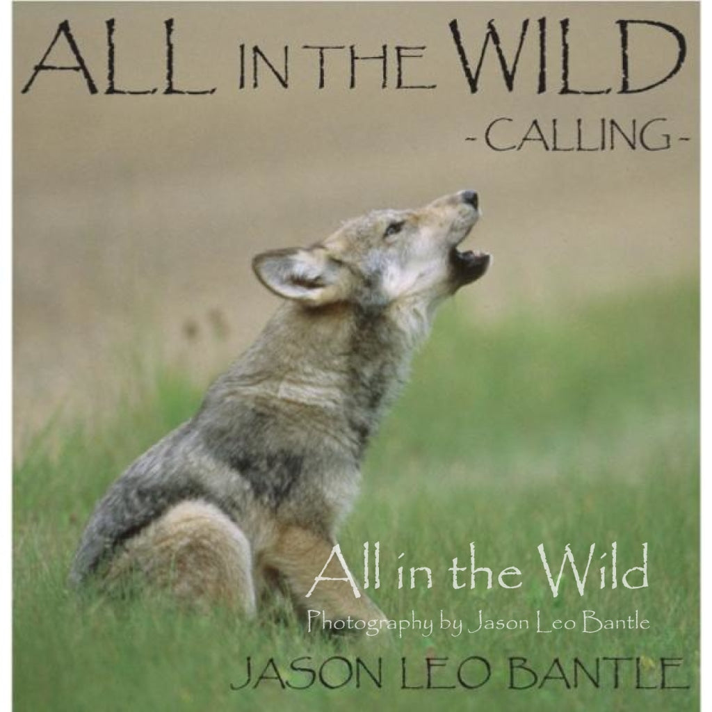 All in the Wild: Calling - All in the Wild