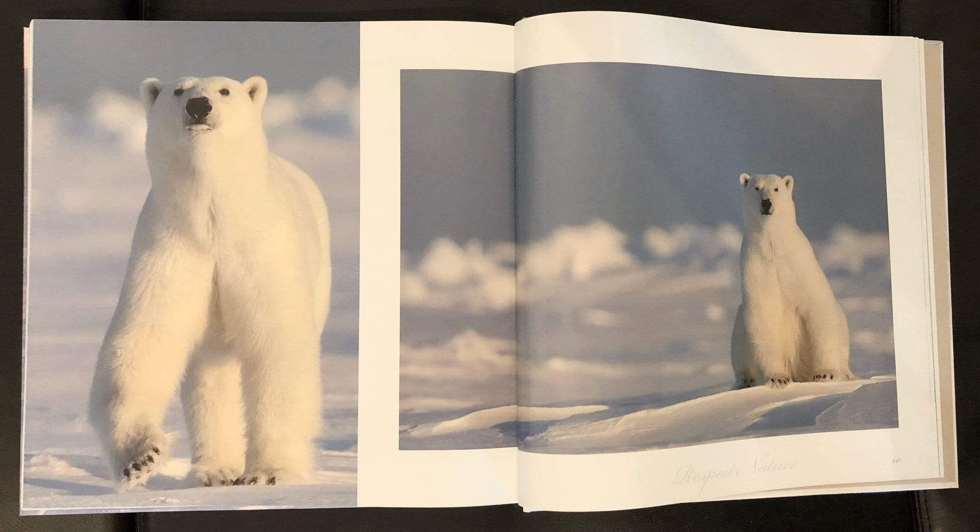State Of Grace Book