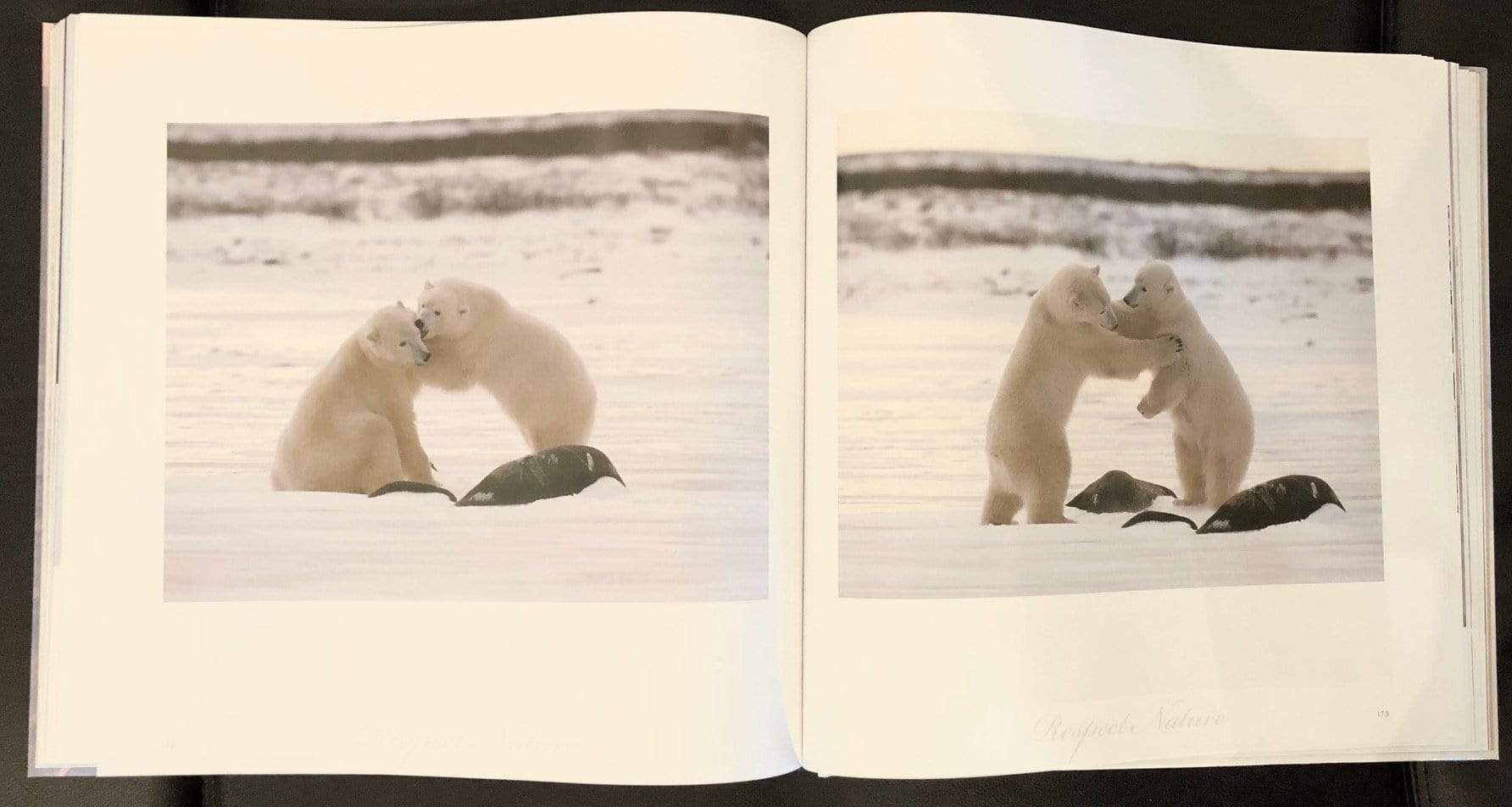State Of Grace Book
