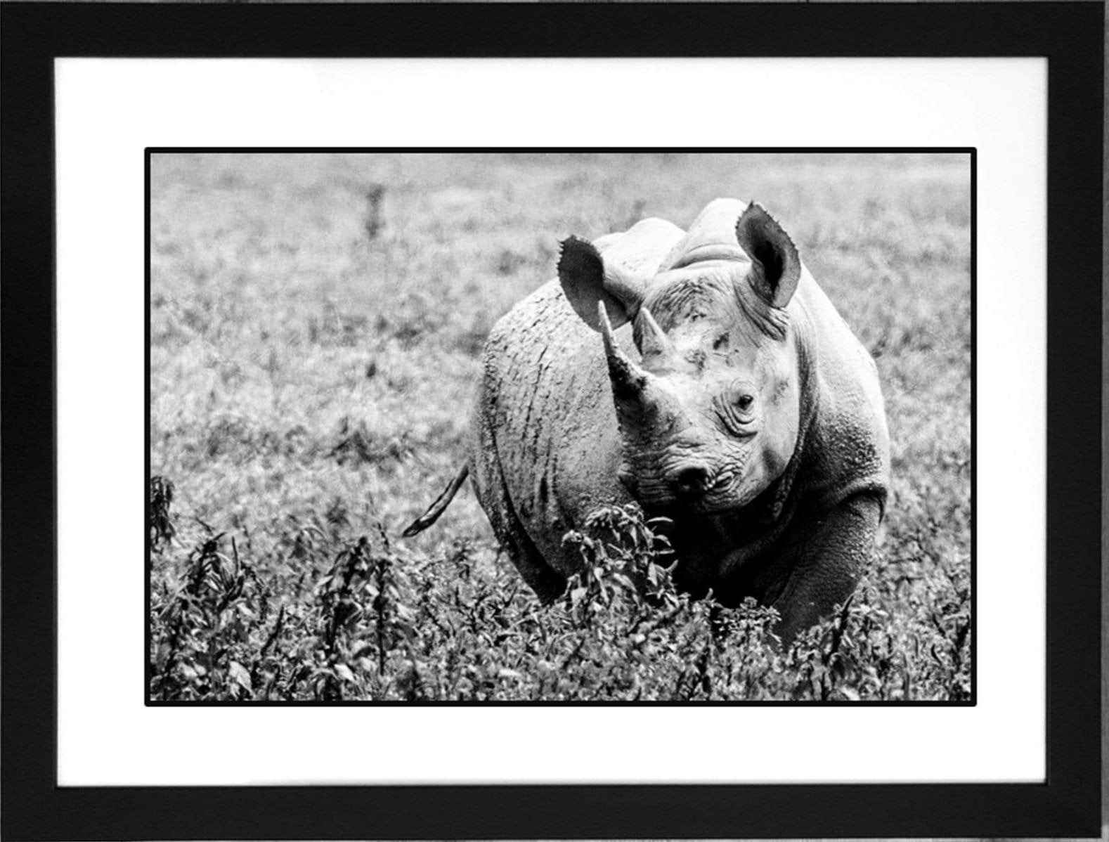 Contemporary Frame