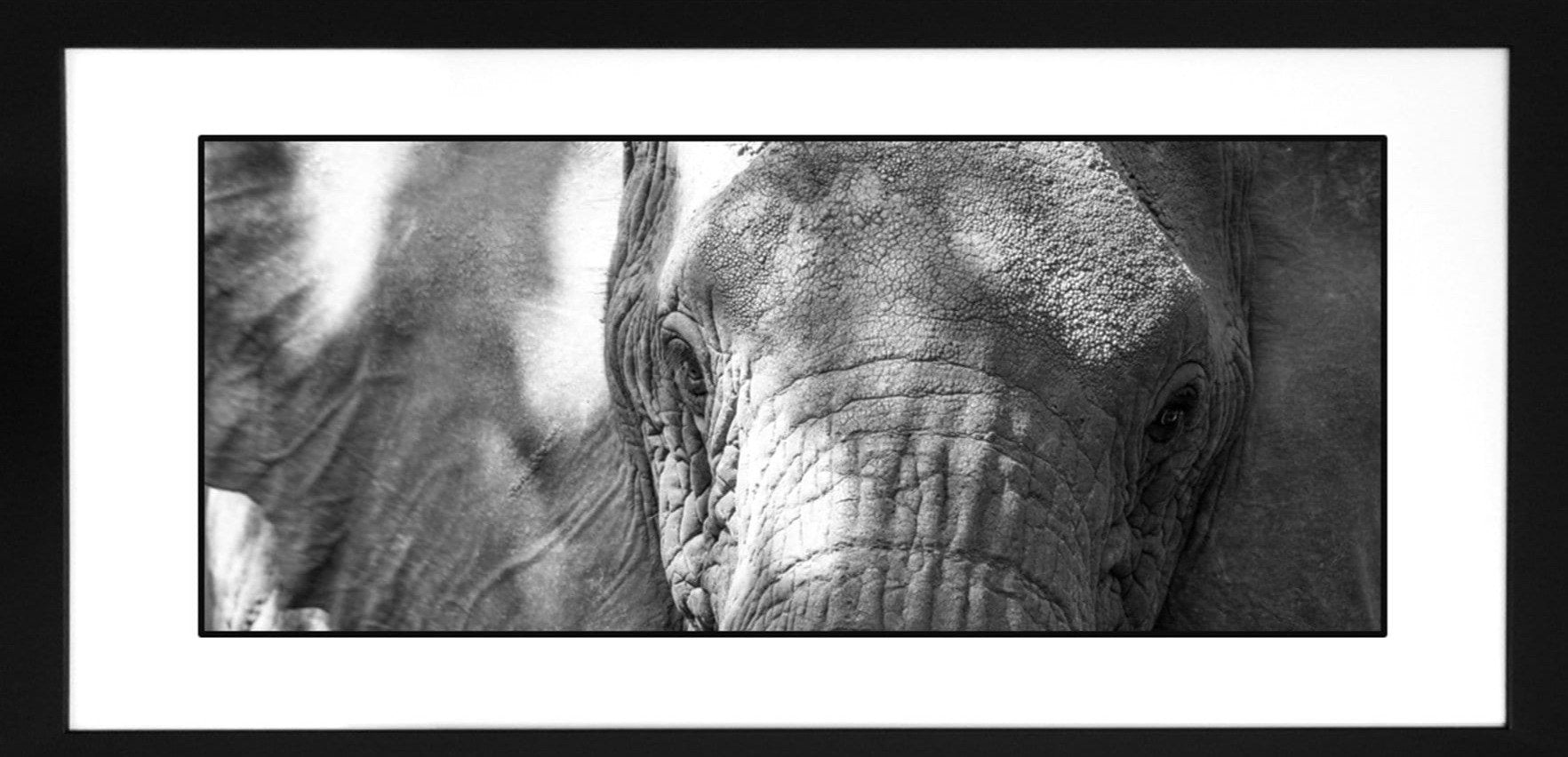 Contemporary Frame