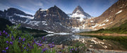 Acrylic/Printed Photo Panoramic