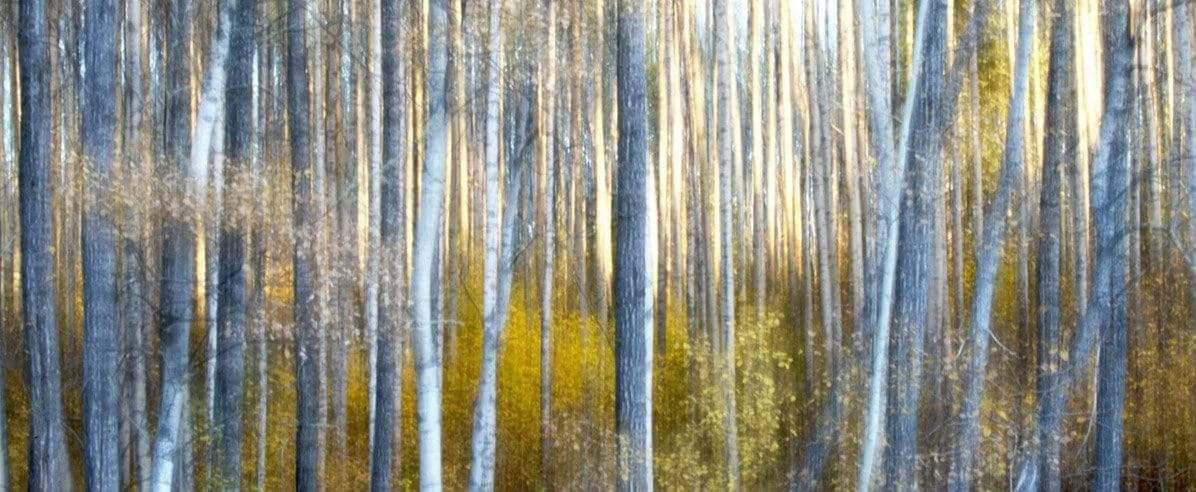 Acrylic/Printed Photo Panoramic