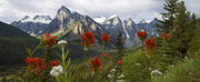 Acrylic/Printed Photo Panoramic