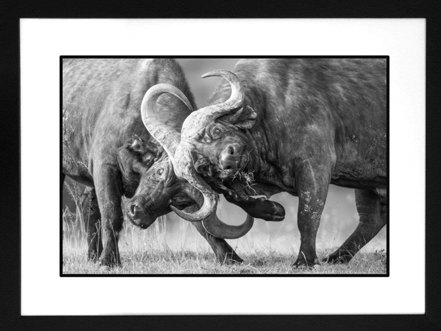 Contemporary Frame