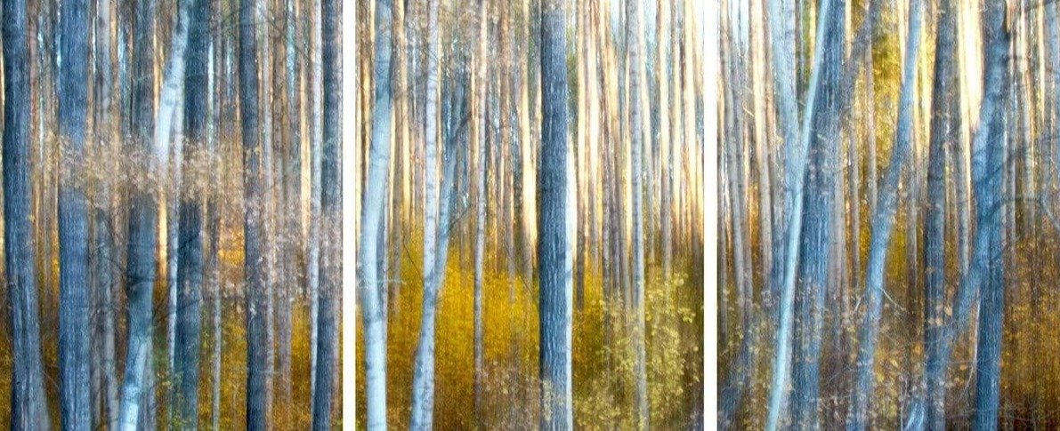 Panoramic Triptych