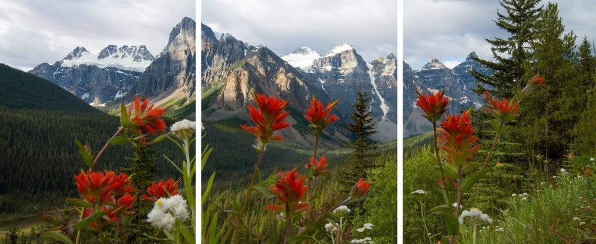 Triptych
