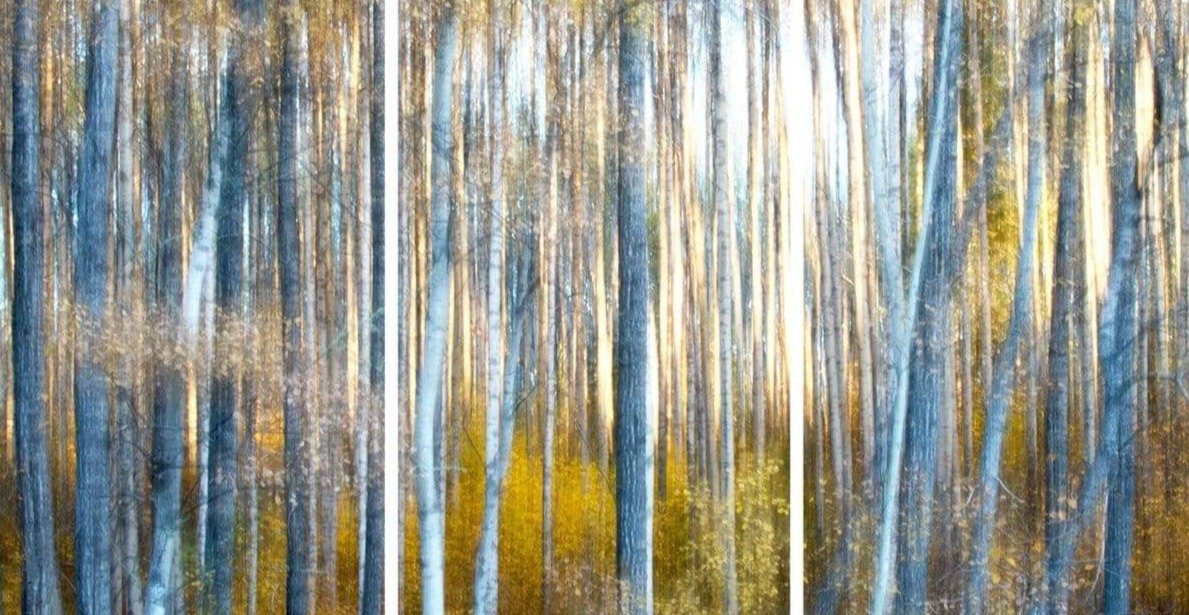 Regular Triptych
