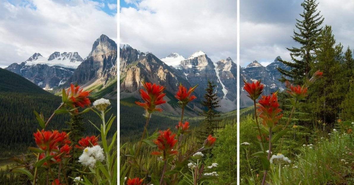 Triptych
