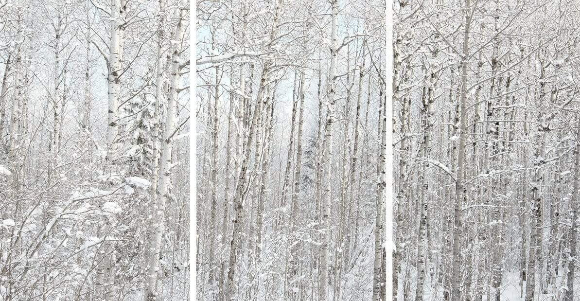 Triptych