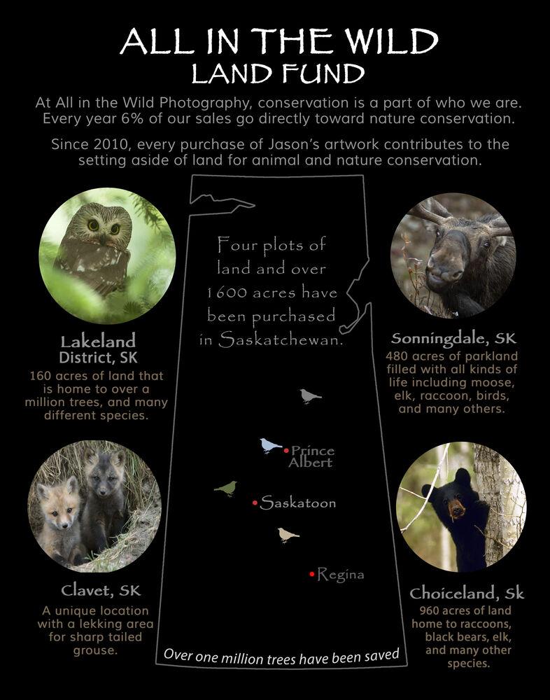 Contribute To The All In Wild Land Fund Donation
