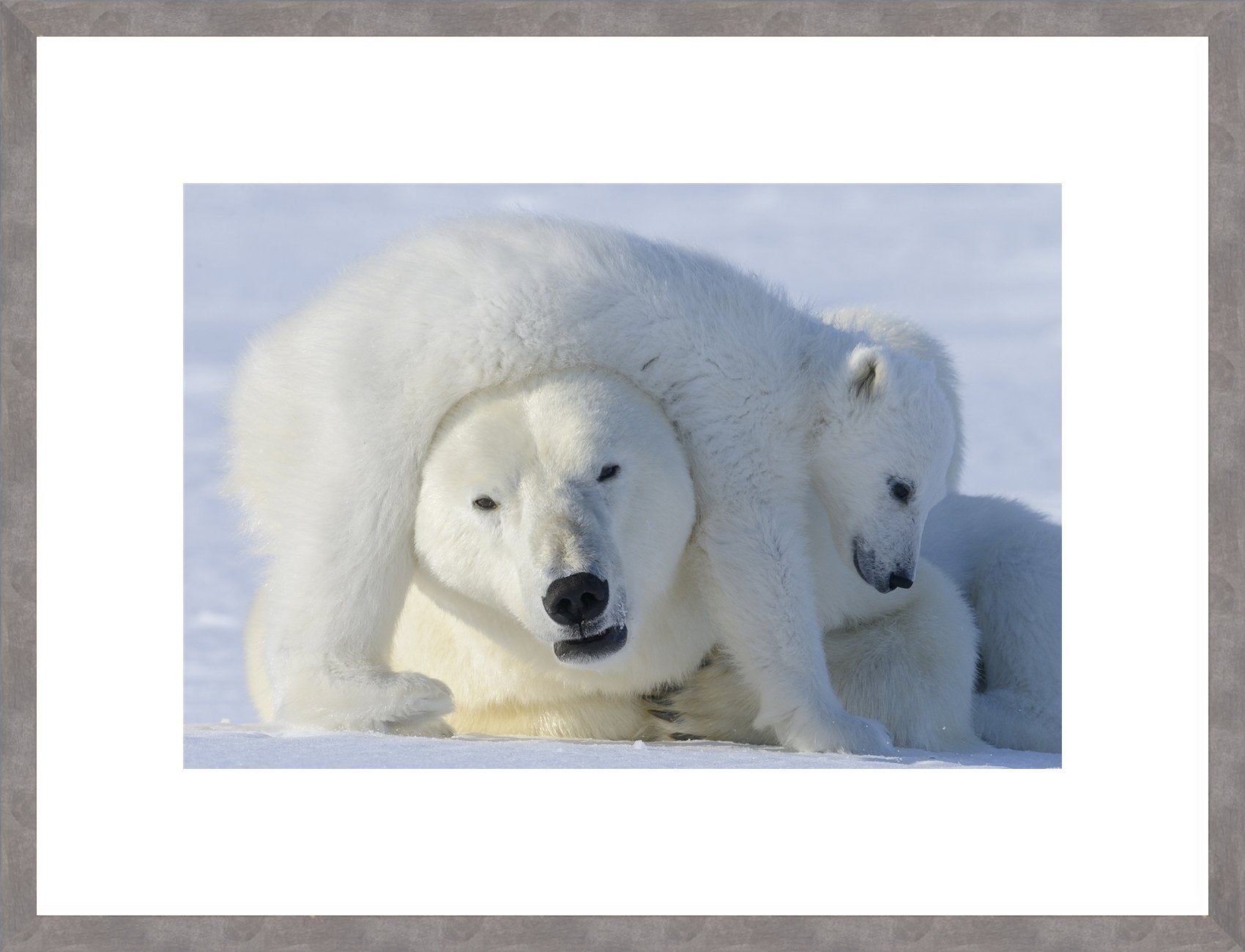 Regular Canadian Wood Frame *Recommended 